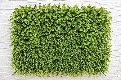 cod18使命召唤：先锋PC端测试最简单教程 网易UU加速器限时免费加速